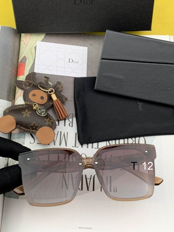 DIOR Sunglasses 391